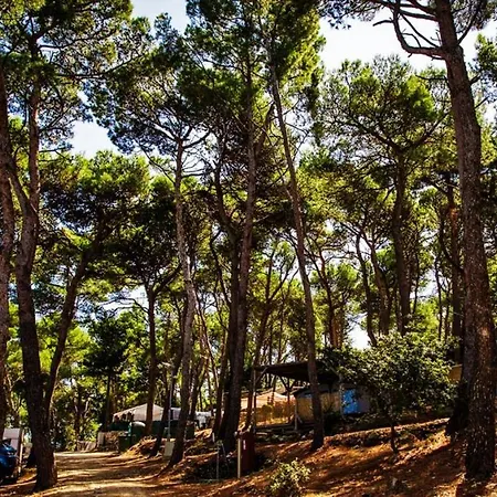 Tasalera Safari Camp Medulin *